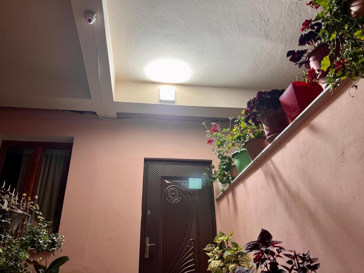 Villa Ensalv Berat - Apartment - Room - Penthouse Экстерьер фото