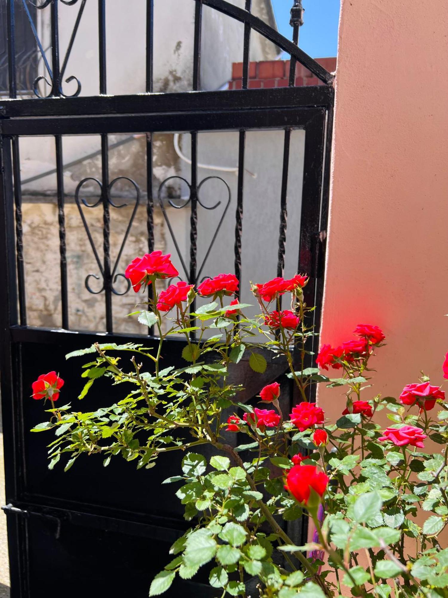 Villa Ensalv Berat - Apartment - Room - Penthouse Экстерьер фото